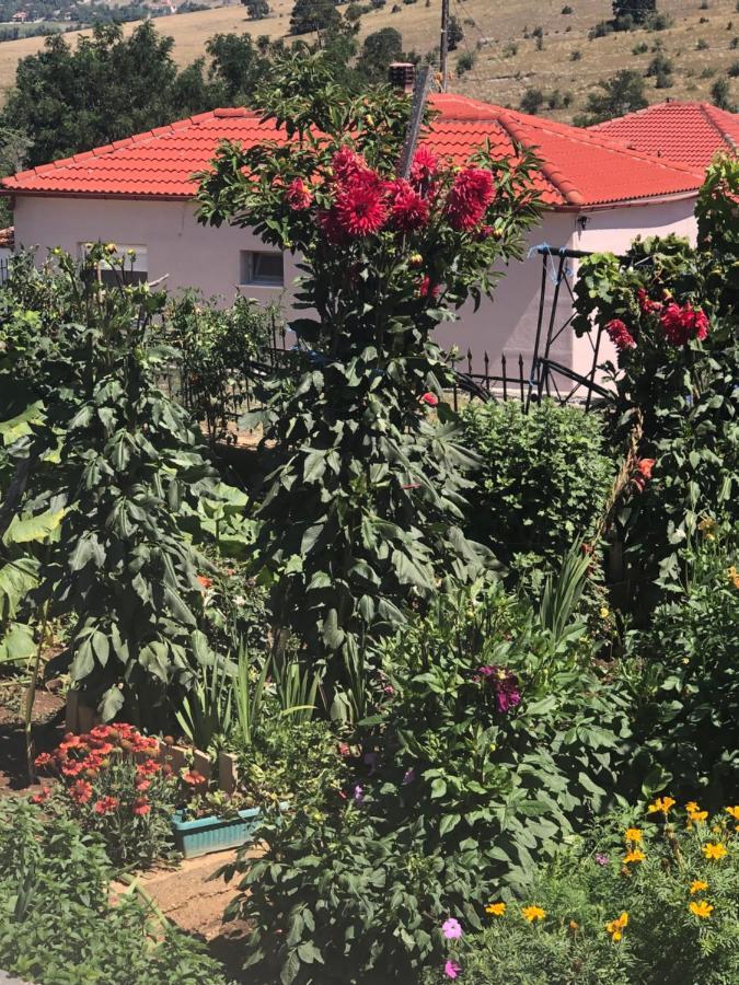 Acrotel Sofia'S Guest House Sidheras Εξωτερικό φωτογραφία