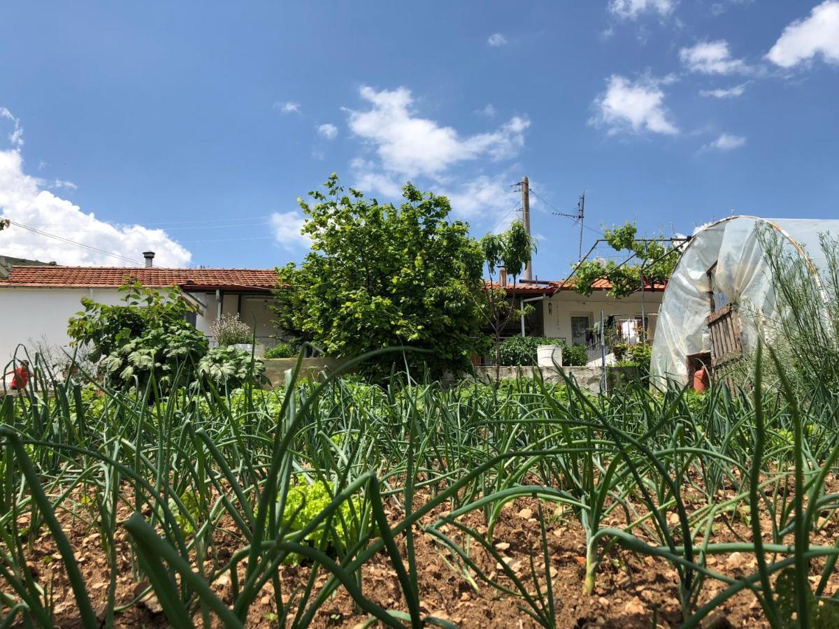 Acrotel Sofia'S Guest House Sidheras Εξωτερικό φωτογραφία