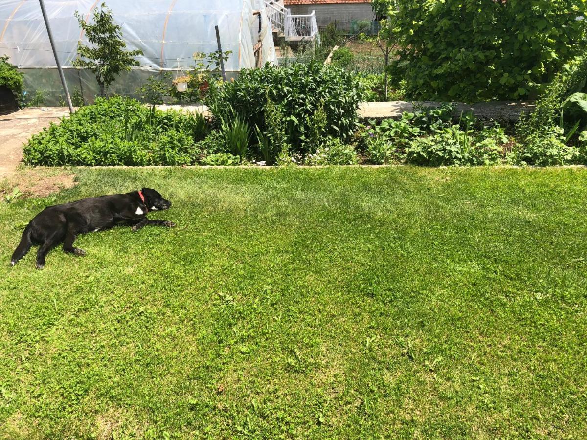Acrotel Sofia'S Guest House Sidheras Εξωτερικό φωτογραφία